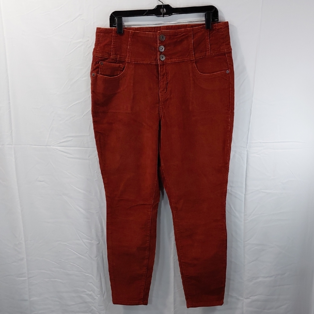 NOBO Women's Skinny Pants in Deep Rust
